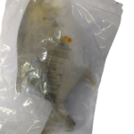 Paradise Pompano 600-800g